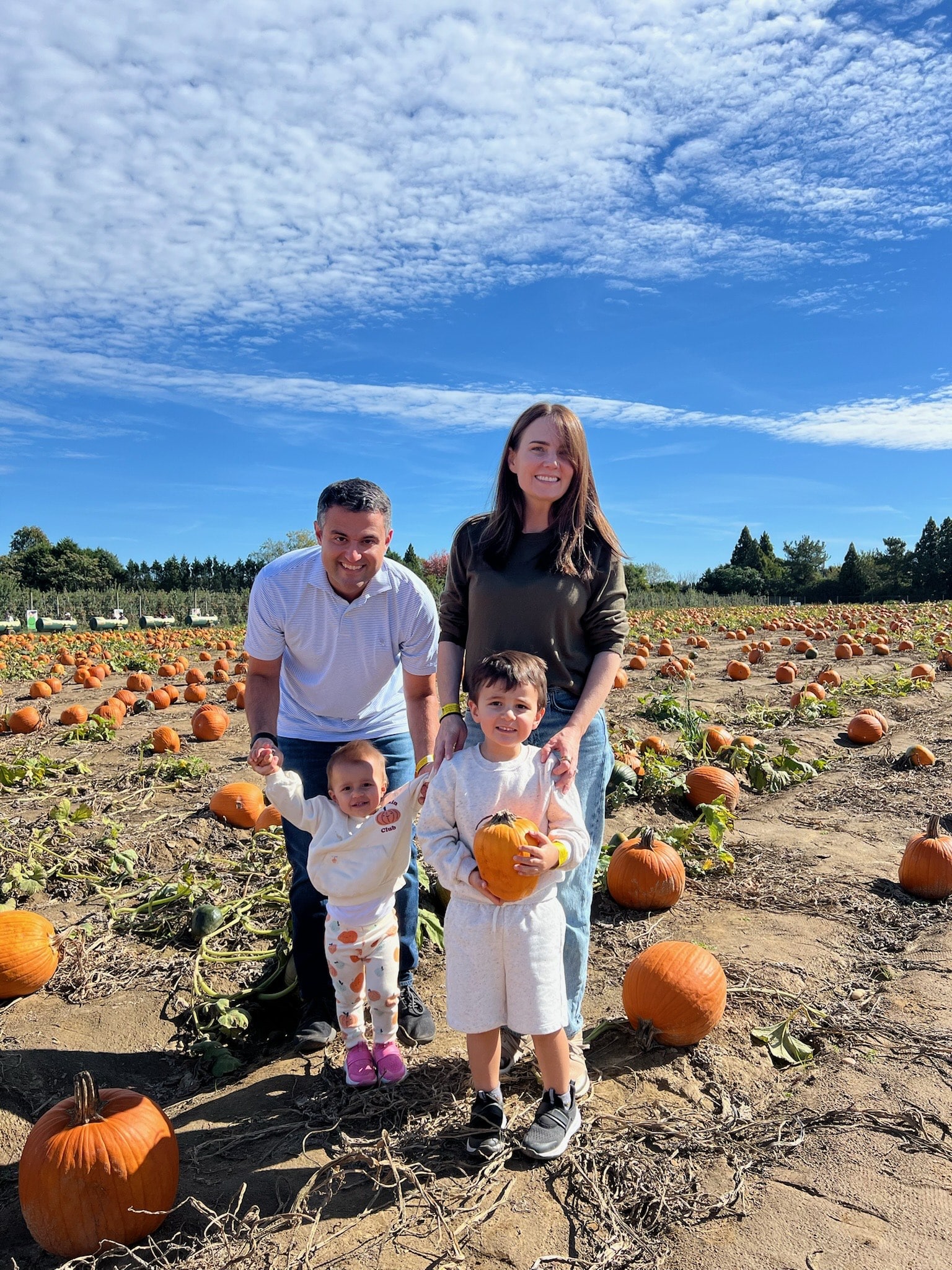 family info for the Dr. George Ferzli